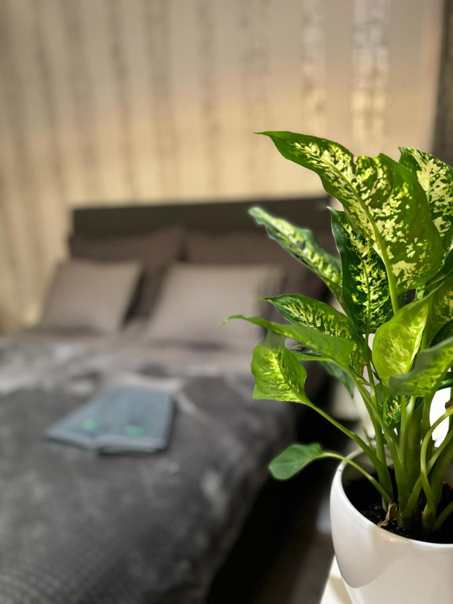 Vartiomaja - Beautiful Apartment Near Arktikum โรวานิเอมิ ภายนอก รูปภาพ